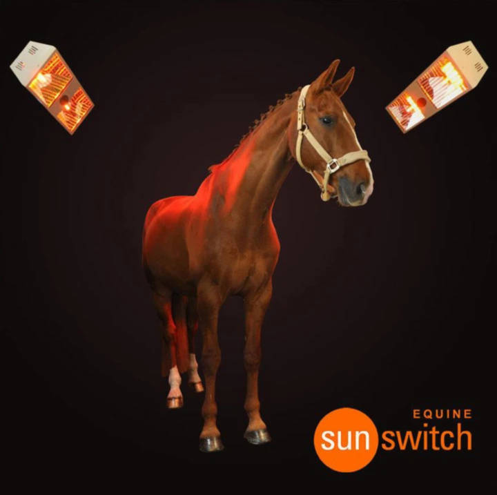 Image - Equine Sunswitch Logo