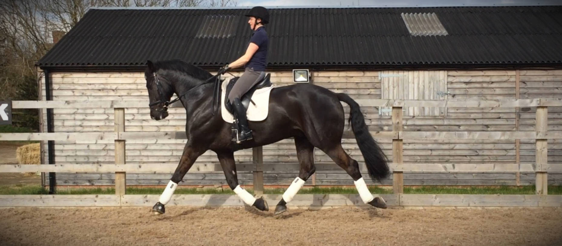 Nicky riding at home